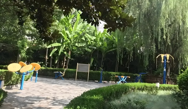 养女攻略